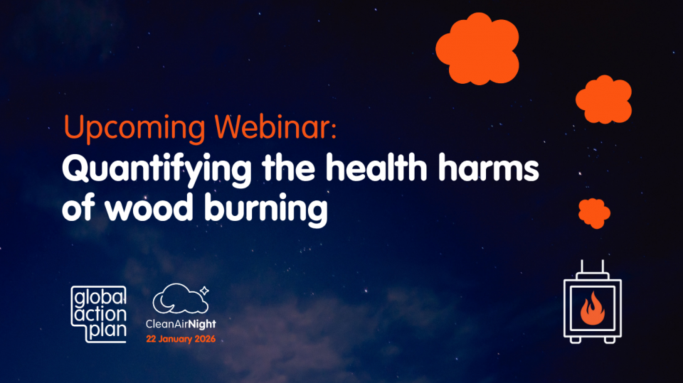 Webinar: Quantifying the health harms of wood burning